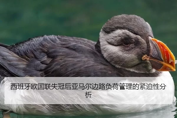 西班牙欧国联失冠后亚马尔边路负荷管理的紧迫性分析 | kaiyun app